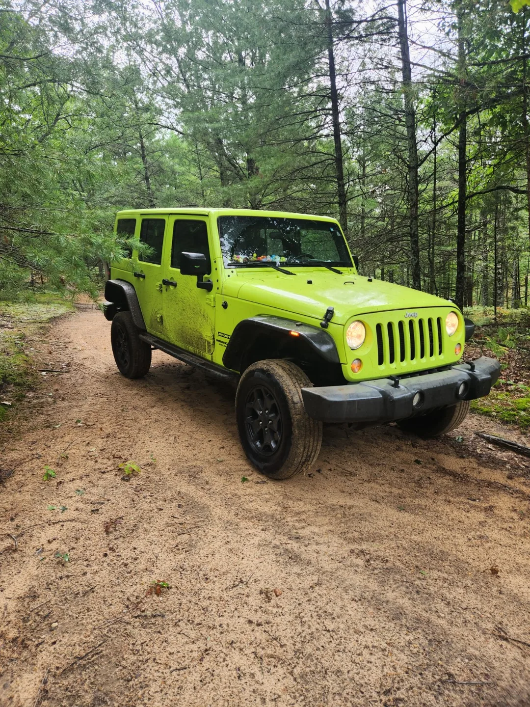 The actual Hyper Green Jeep Wrangler on a wooded Michigan trail.